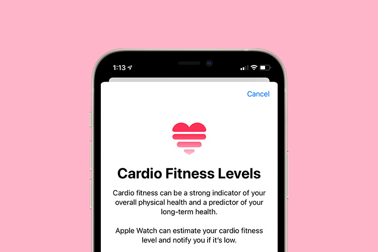 So richten Sie Cardio Fitness auf Apple Watch und iPhone ein